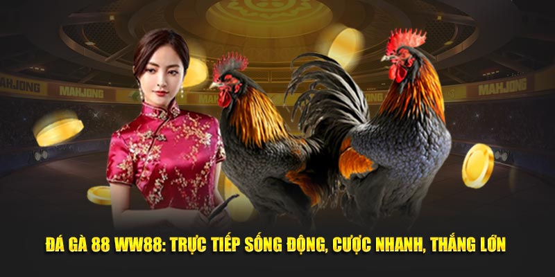 Đá Gà 88 WW88: Trực Tiếp Sống Động, Cược Nhanh, Thắng Lớn