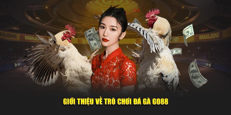 Giới thiệu sơ lược Đá Gà 88