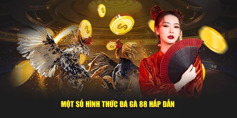 Hình thức đá gà 88 hấp dẫn 