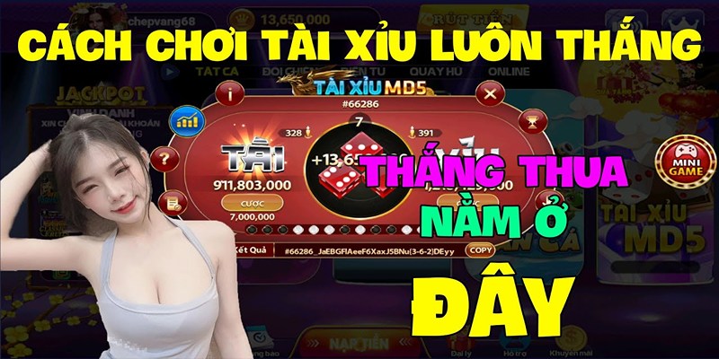Bạn sẽ có thêm kinh nghiệm thực tế khi chơi tài xỉu ww88 nhiều hơn